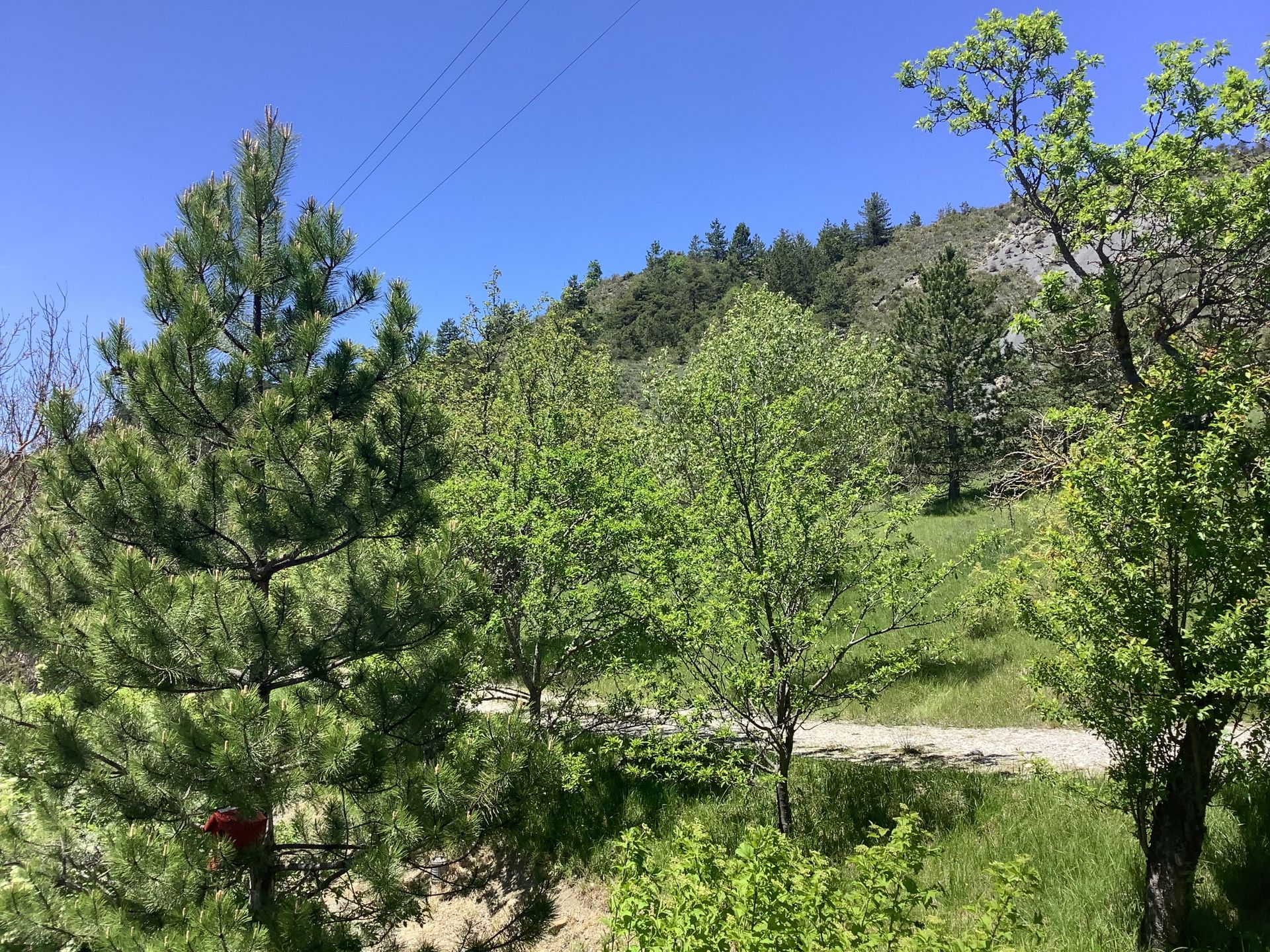 La nature entoure la maison de vos vacances